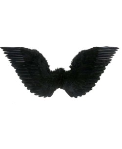 ALAS NEGRAS PLUMAS 72 X 50 CMS.