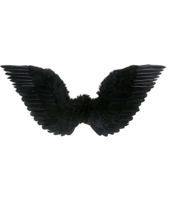 ALAS NEGRAS PLUMAS 72 X 50 CMS.