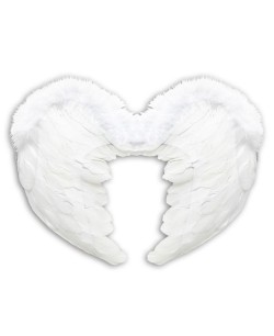 ALAS DE PLUMAS BLANCAS