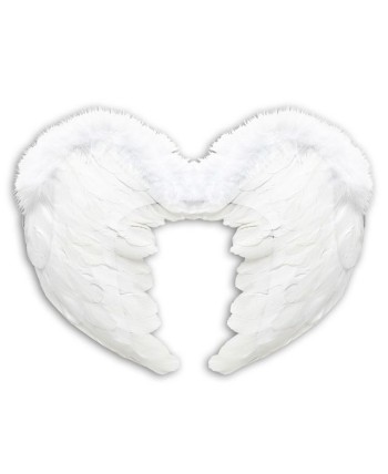 ALAS DE PLUMAS BLANCAS  