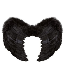ALAS NEGRAS PLUMAS