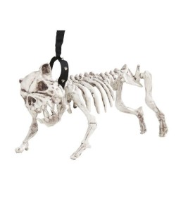 ESQUELETO PERRO CON CORREA