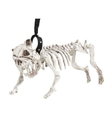 ESQUELETO PERRO CON CORREA 