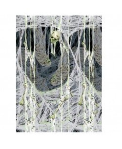 DECORACIÓN PARED TELARAÑA CON HUESOS Y CALAVE