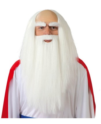 PELUCA Y BARBA DRUIDA PANORAMIX