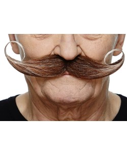 BIGOTE MOSTACHO LORD CASTAÑO CANOSO
