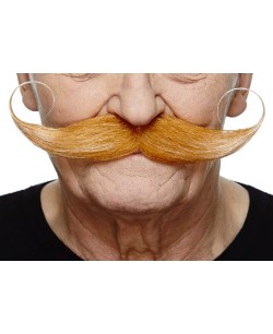 BIGOTE MOSTACHO LORD RUBIO CANOSO