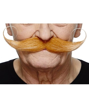 BIGOTE MOSTACHO LORD RUBIO CANOSO