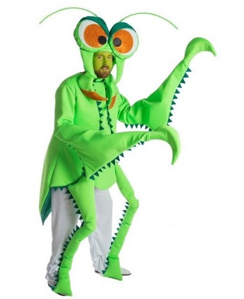 DISFRAZ DE MANTIS RELIGIOSA 