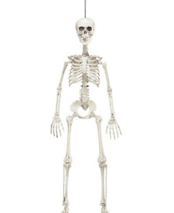 ESQUELETO ARTICULADO 90 CMS.