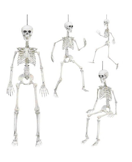 ESQUELETO ARTICULADO 90 CMS.