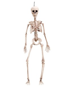 Esqueleto para Colgar 90 cm Halloween | La Casa de las Fiestas