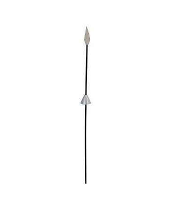 LANZA QUIJOTE