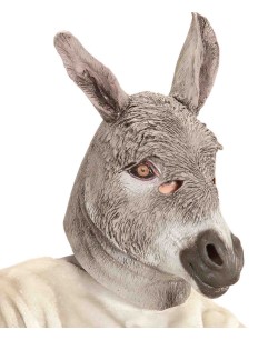 CARETA BURRO ASNO