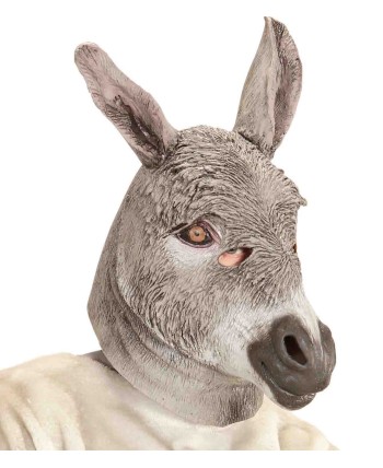 CARETA BURRO ASNO
