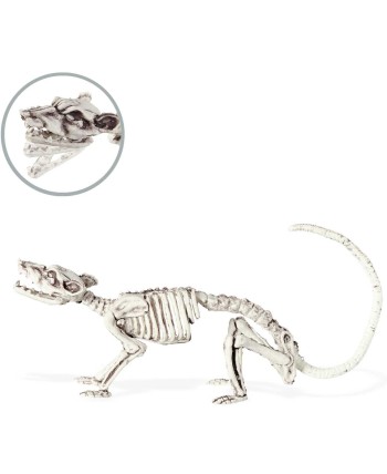 ESQUELETO RATON MANDIBULA ARTICULADA