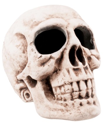 CALAVERABLANCA 40 X 35 CMS.