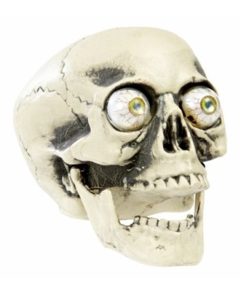 CALAVERA REAL MANDIBULA ARTICULADA  CON OJOS