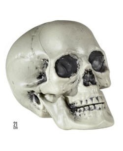 CALAVERA 21 CMS