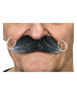 BIGOTE LORD CANOSO