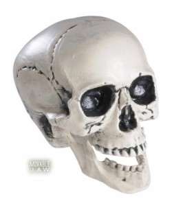 CALAVERA MANDIBULA MOVIL 25 cms.