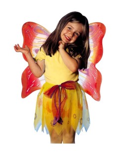 SET MARIPOSA NIÑA 2