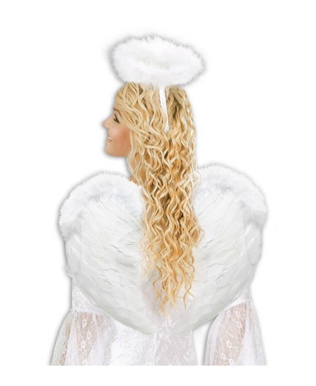 ALAS DE PLUMAS BLANCAS  