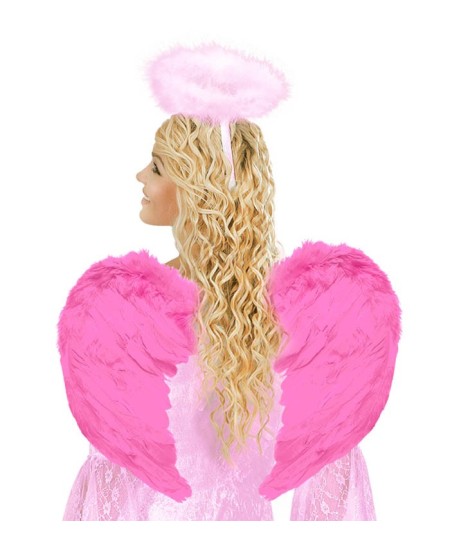 ALAS DE PLUMAS ROSAS 