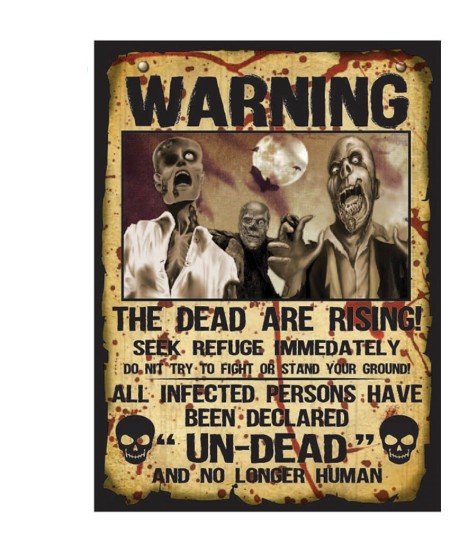 SET 2 CARTELES ZOMBIE WARNING 