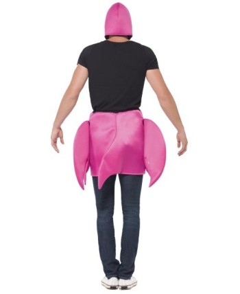 DISFRAZ DE FLAMENCO ROSA