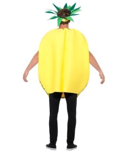 DISFRAZ DE PIÑA 2