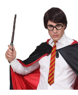 SET MAGO HARRY ADULTO 2