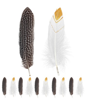 SET 12 PLUMAS TONOS NATURALES