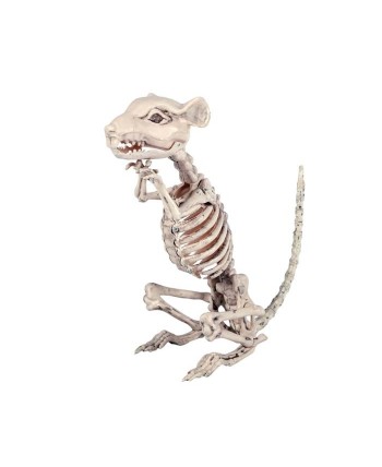 ESQUELETO RATON