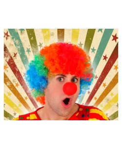 PELUCA RIZADA MULTICOLOR DE PAYASO RIZADA