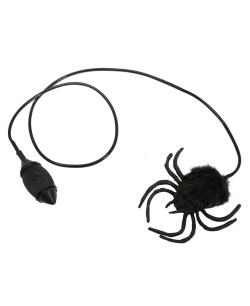 ARAÑA SALTARINA