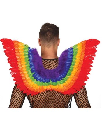 ALAS PLUMAS ARCO IRIS