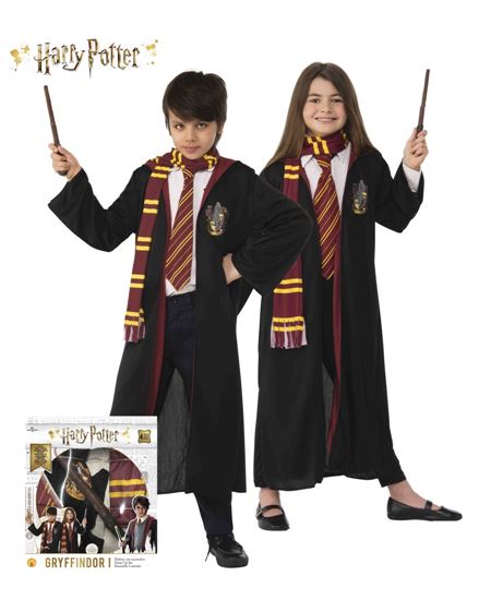 Disfraz de Harry Potter con Complementos | La Casa de las Fiestas