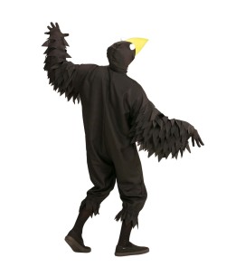 DISFRAZ DE CUERVO NEGRO 2
