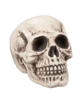 CALAVERA BLANCA PEQUEÑA