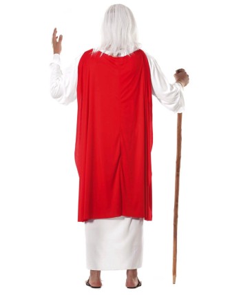 DISFRAZ DE DRUIDA GALO