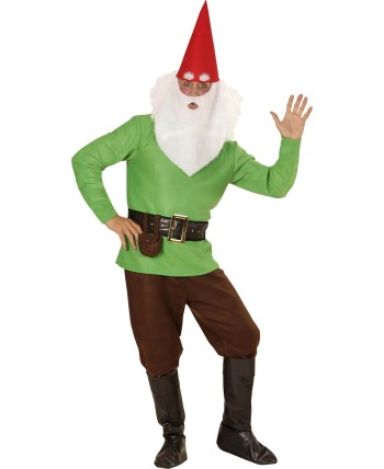 DISFRAZ DE ENANITO BLANCANIEVES VERDE 