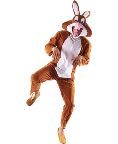 DISFRAZ DE CONEJO MARRON 