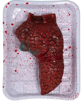 BANDEJA PULMON VINILO