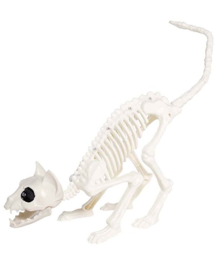 ESQUELETO DE GATO DECORACION