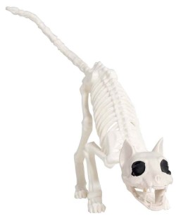 ESQUELETO DE GATO DECORACION