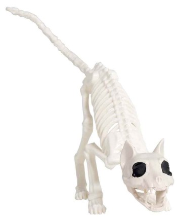 ESQUELETO DE GATO DECORACION