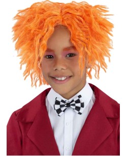 PELUCA SOMBRERERO LOCO INFANTIL