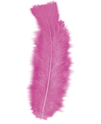 BOLSA PLUMAS CHIC ROSAS