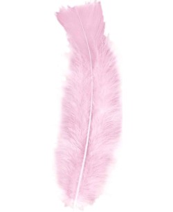 BOLSA PLUMAS CHIC ROSAS PASTEL